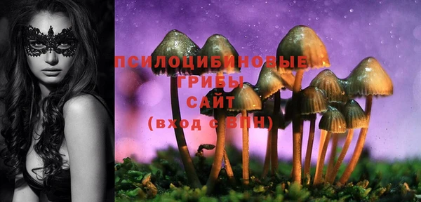 мдпв Вязьма