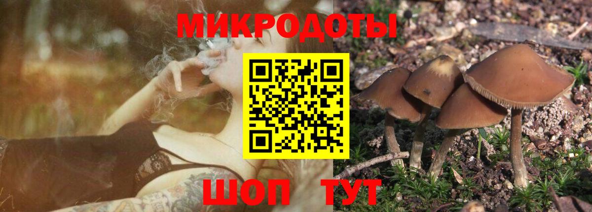 Галлюциногенные грибы мицелий  Вход с VPN  Балаково  Галлюциногенные грибы Psilocybe 
