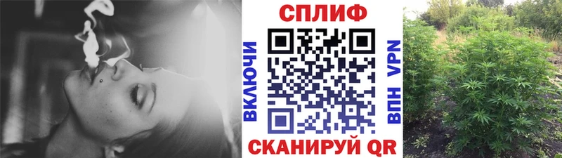 kraken как войти  Балаково  Бошки марихуана сатива 